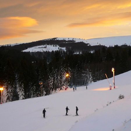 Ma Montagne Chic Daire La Bresse Dış mekan fotoğraf